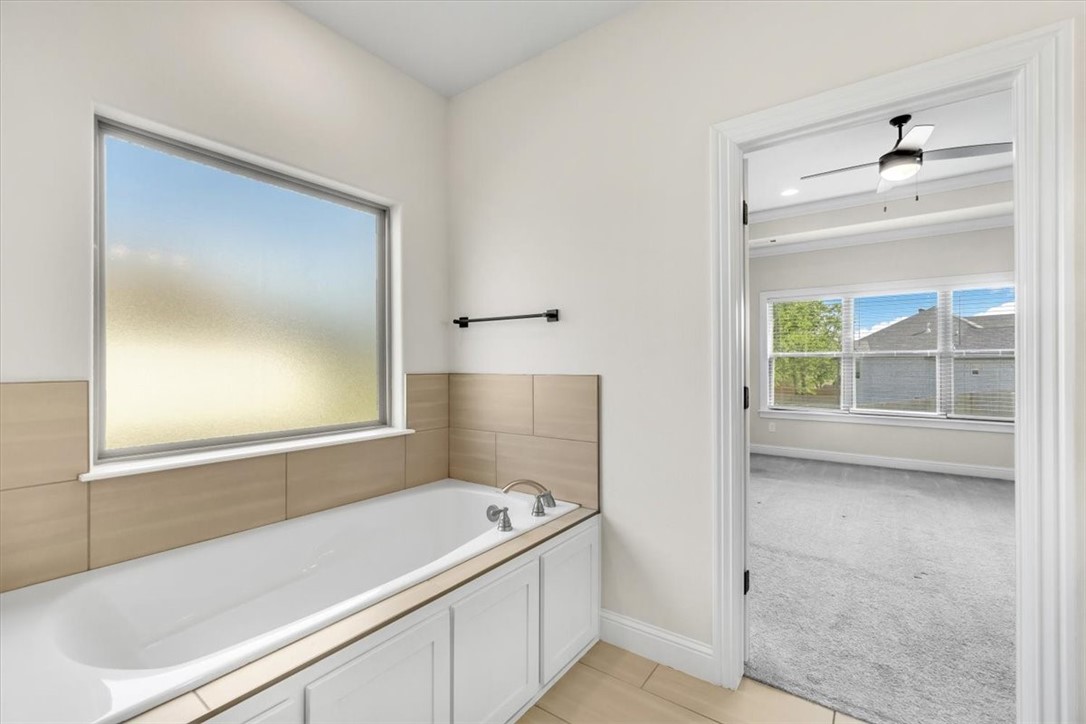 816 Flycatcher Trace