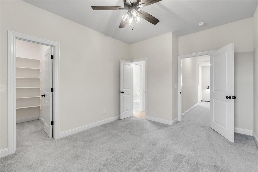 816 Flycatcher Trace