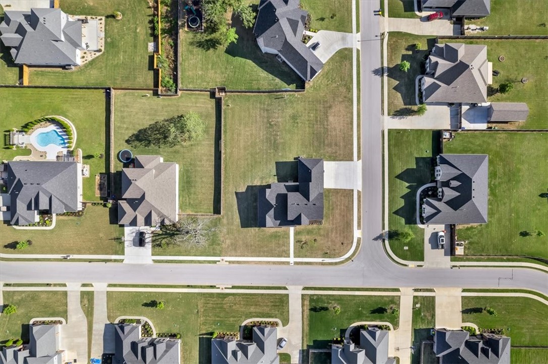 816 Flycatcher Trace