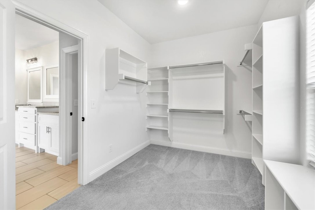 816 Flycatcher Trace