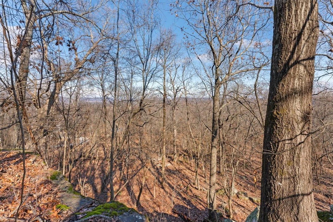 14271 Skyview East Road