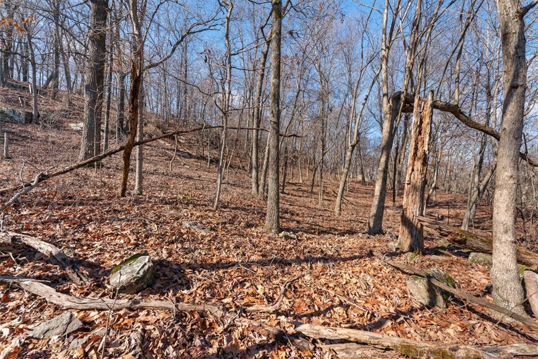 14271 Skyview East Road