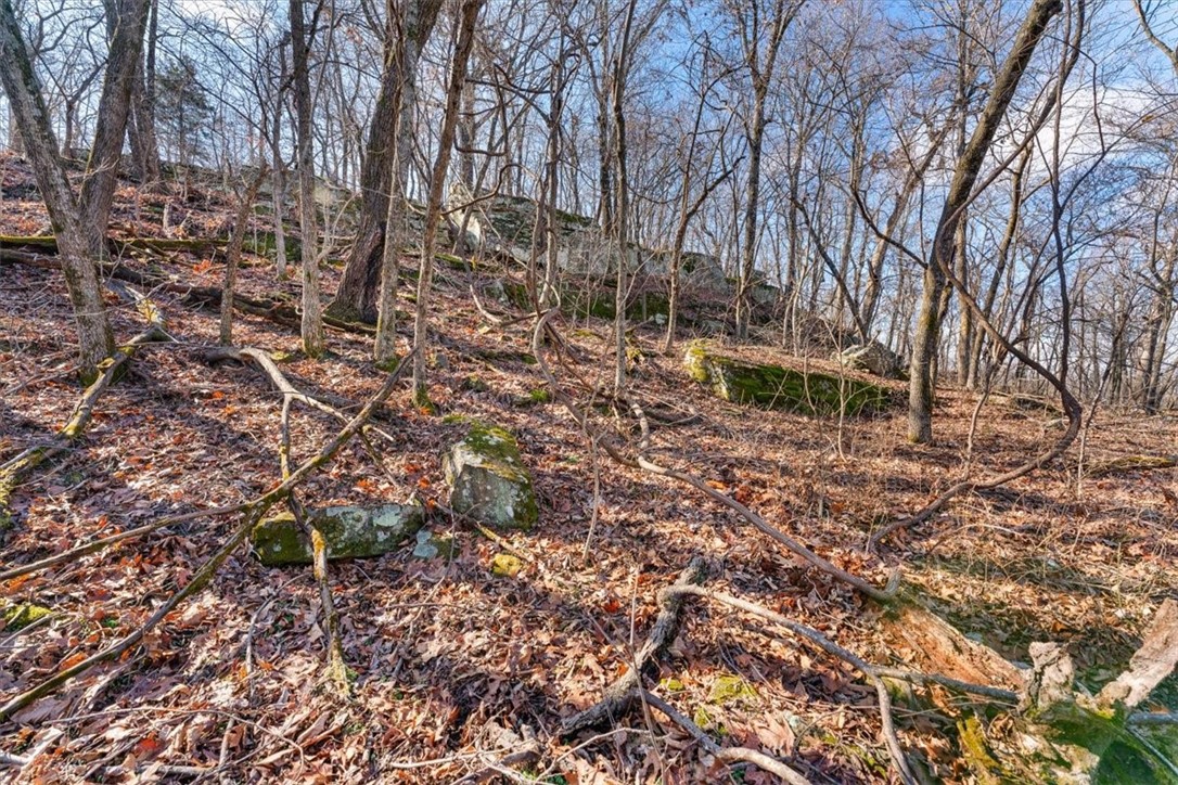 14271 Skyview East Road