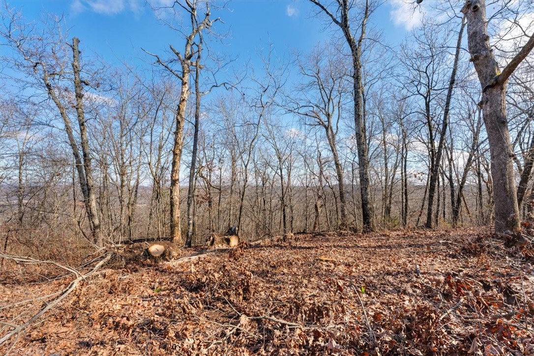 14271 Skyview East Road