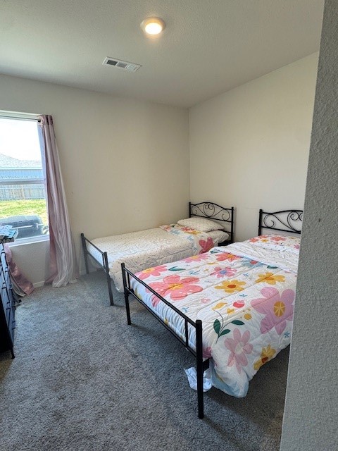 1403 S Pampas Street