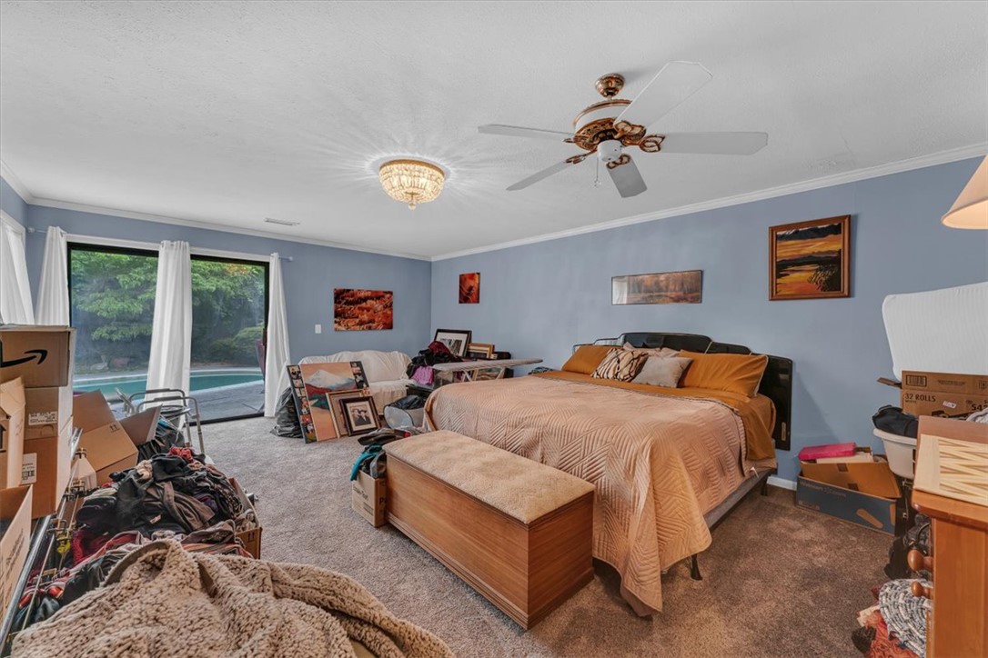 1117 Ranch Drive