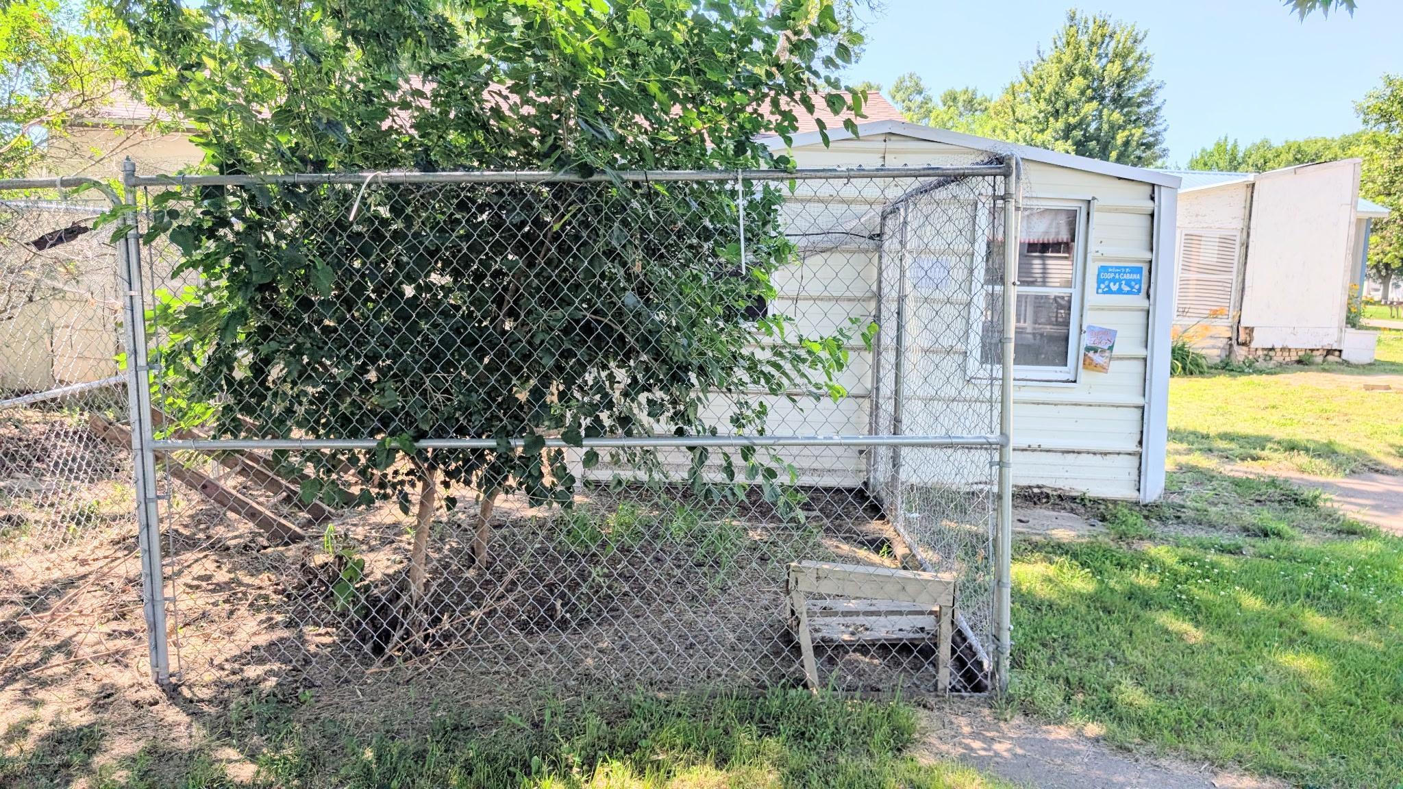 104 Indiana Avenue