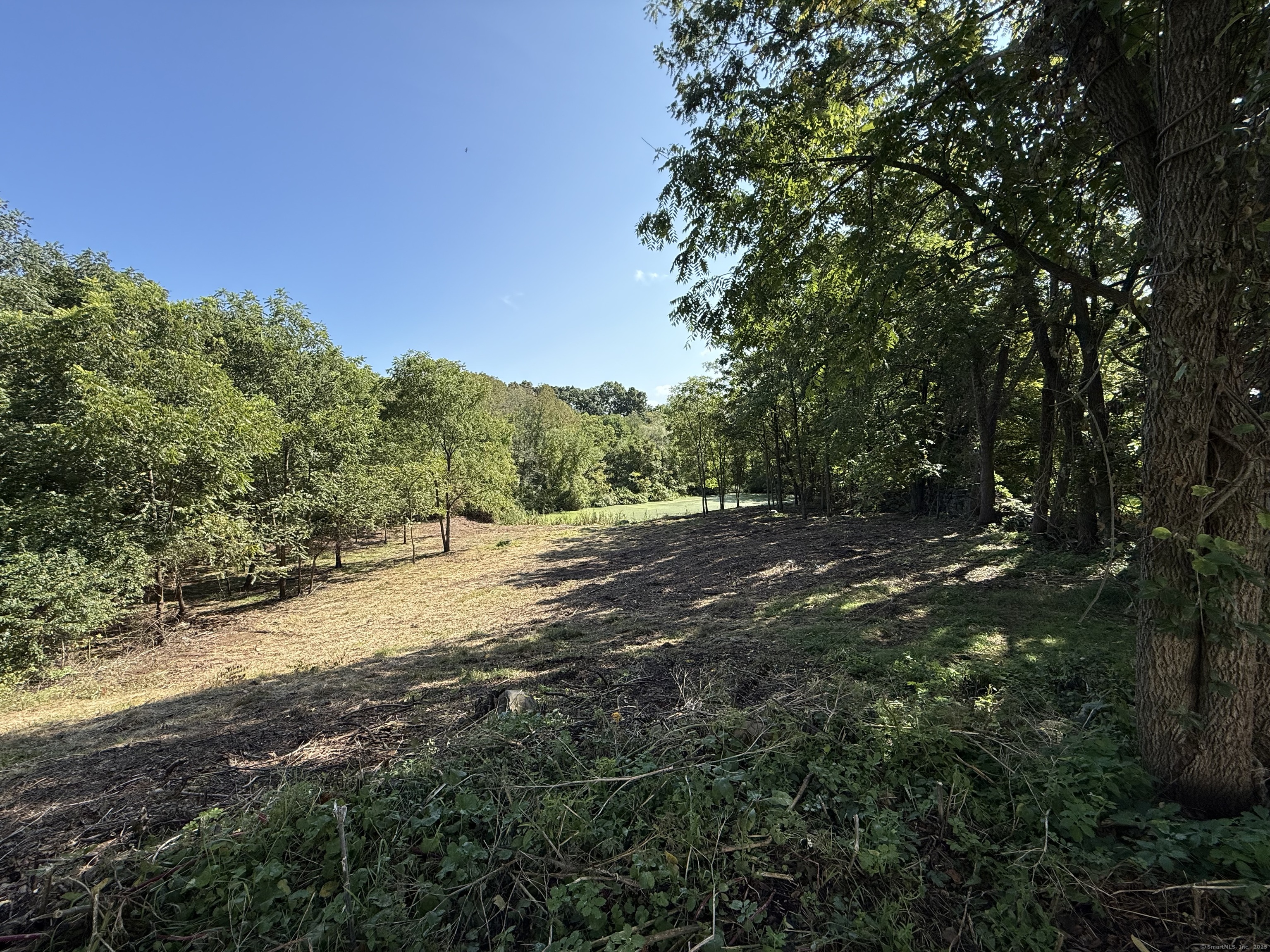 393 North Canterbury Road