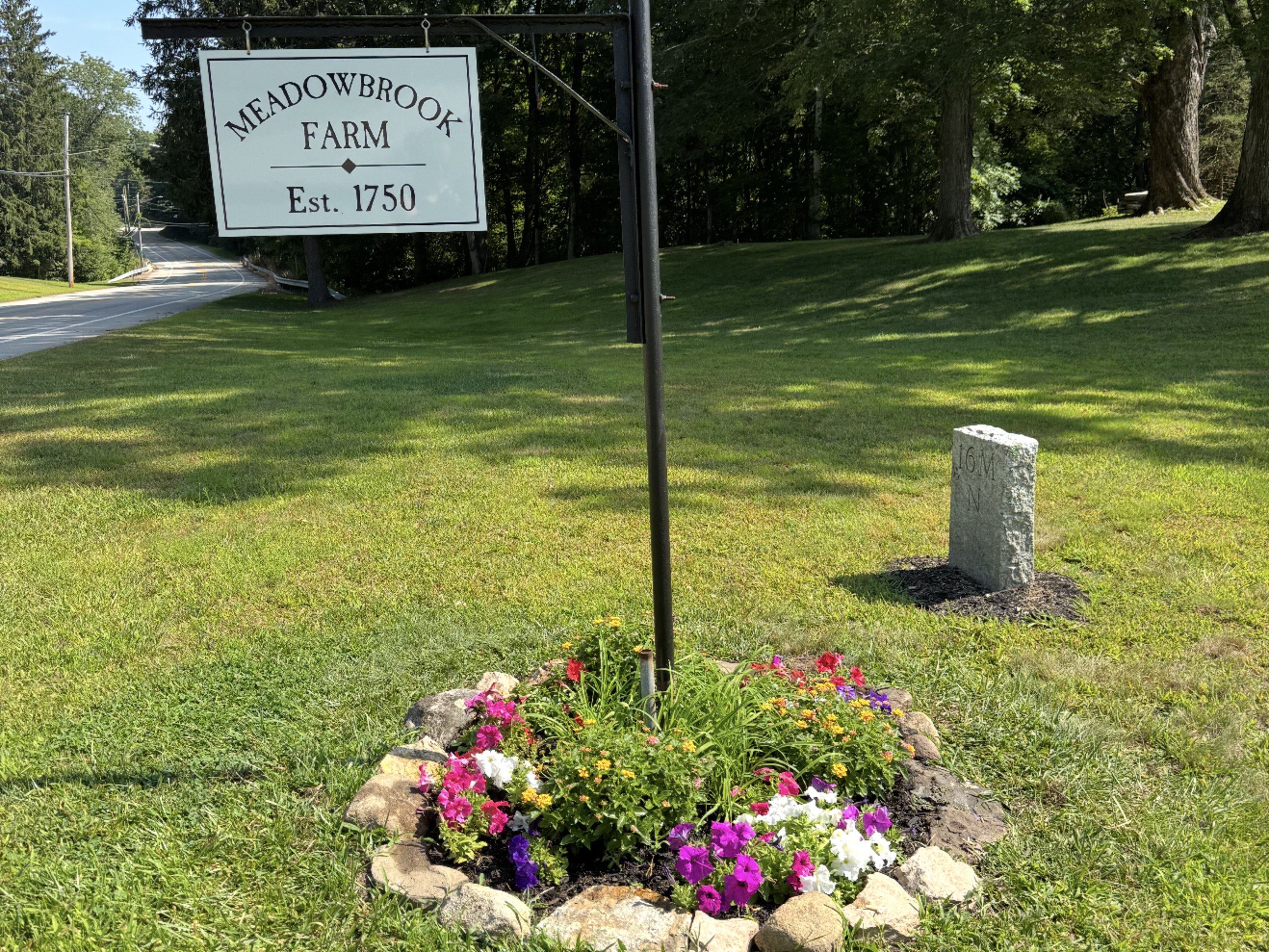 393 North Canterbury Road