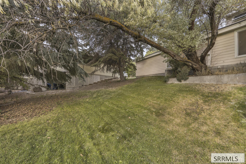 Grassy backyard beside a beige-sided house, shaded by large mature trees.