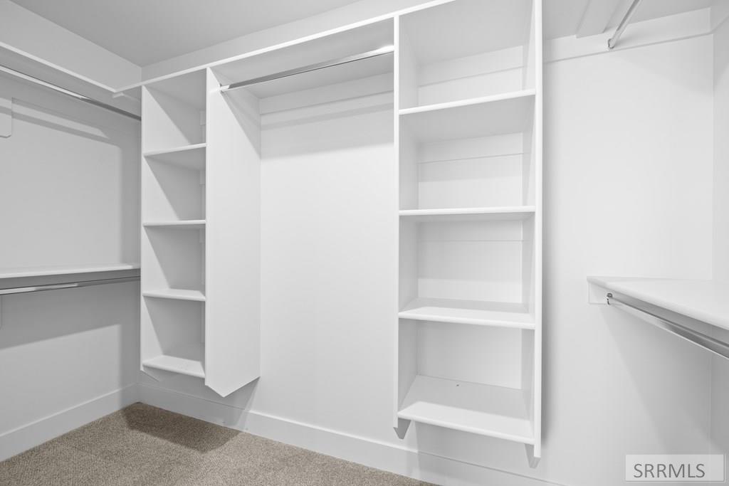 Walk-in closet with white built-in shelving, hanging rods, and beige carpet.