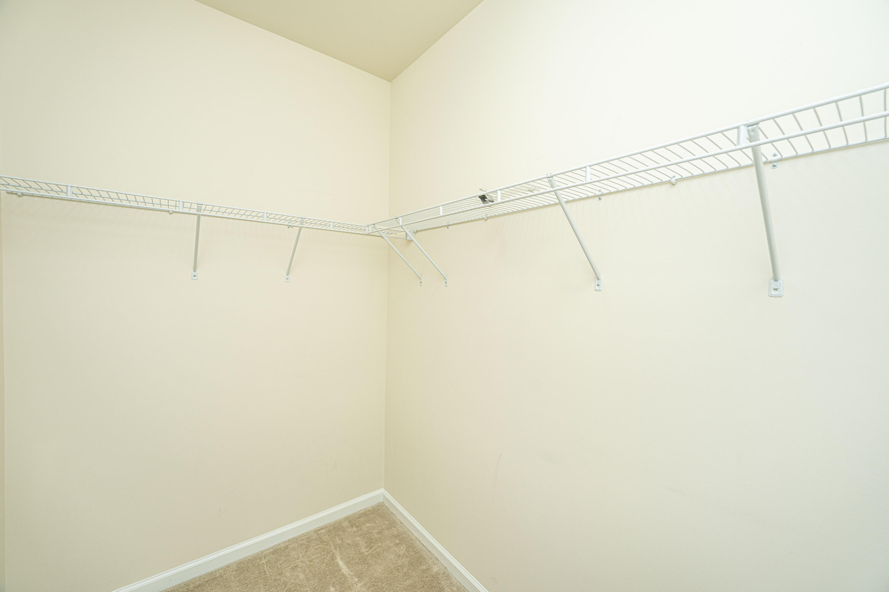 409 Carousel Court