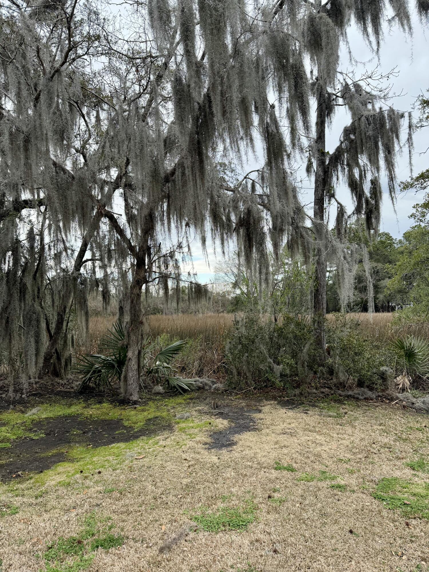 87 Ashley Hall Plantation Road # 5