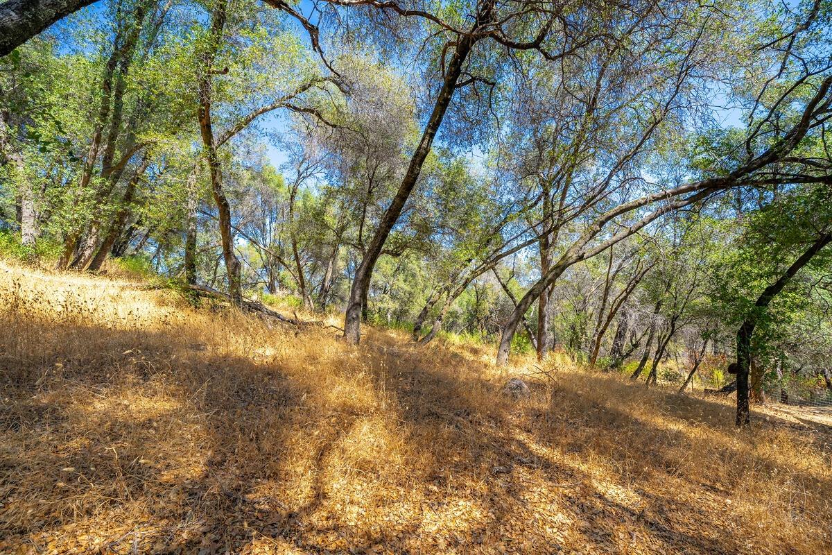 12521 Incline Drive