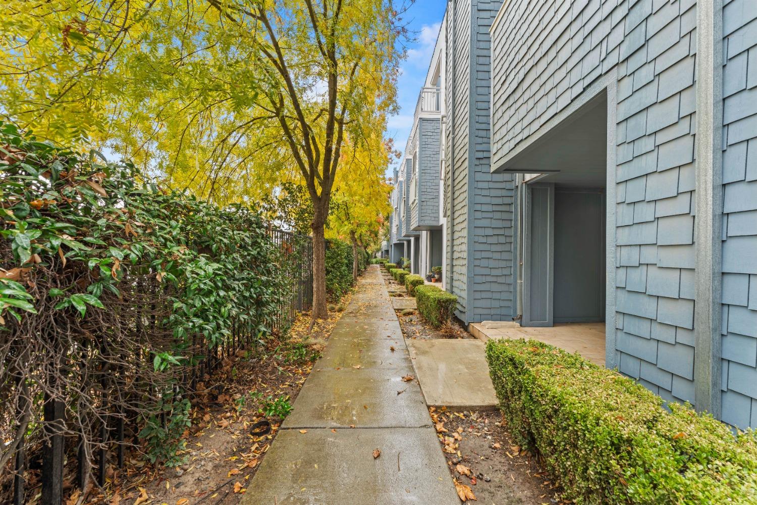 436 Harriet Lane