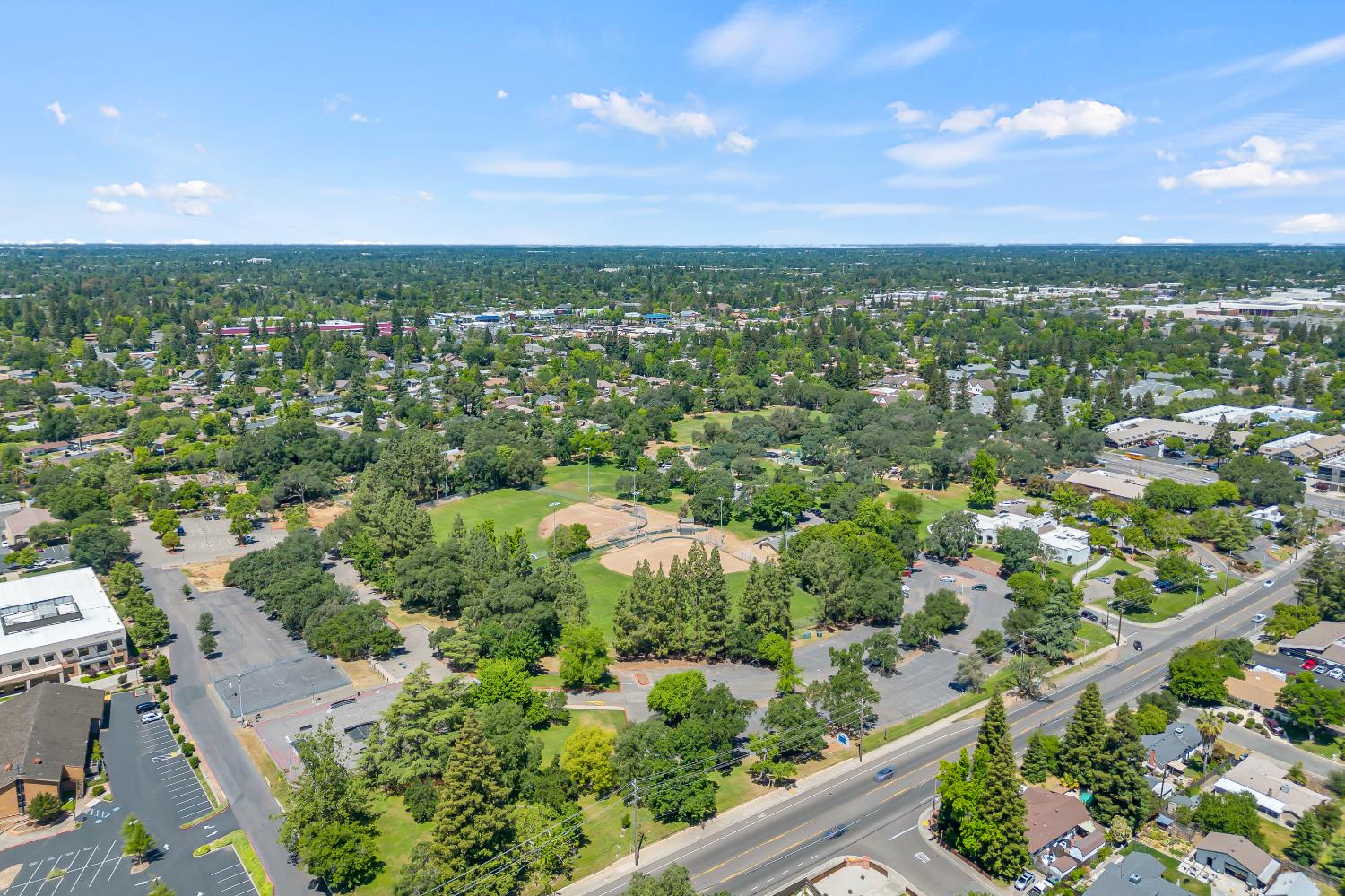8169 Woodleaf Drive