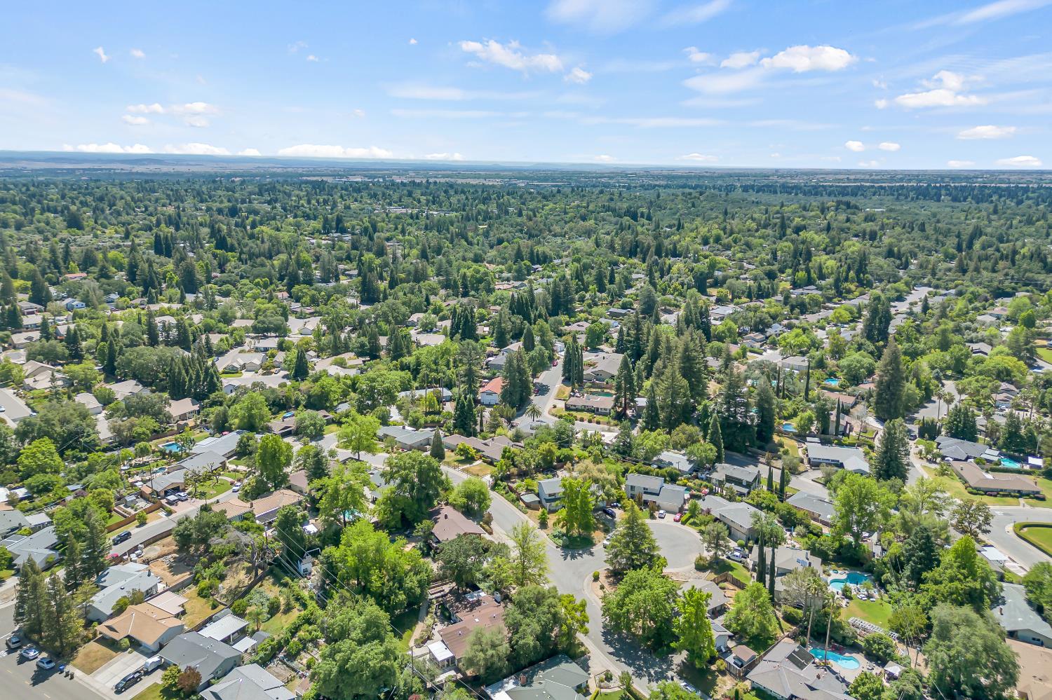 8169 Woodleaf Drive
