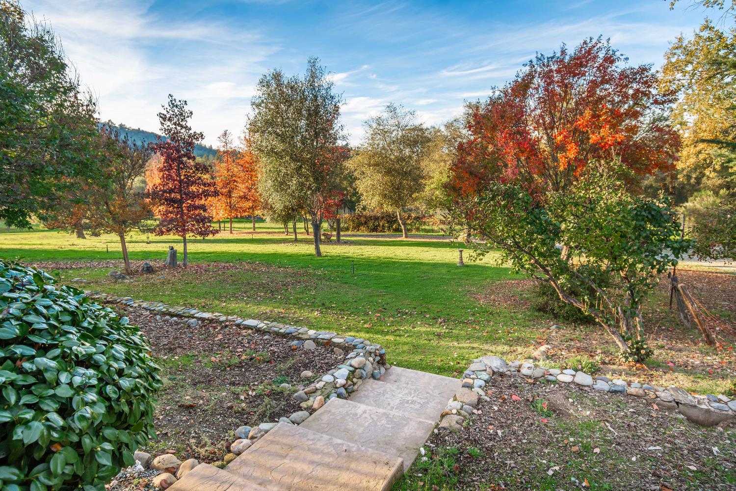 4221 Flapjack Court