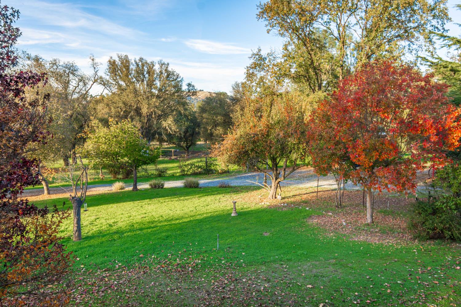 4221 Flapjack Court