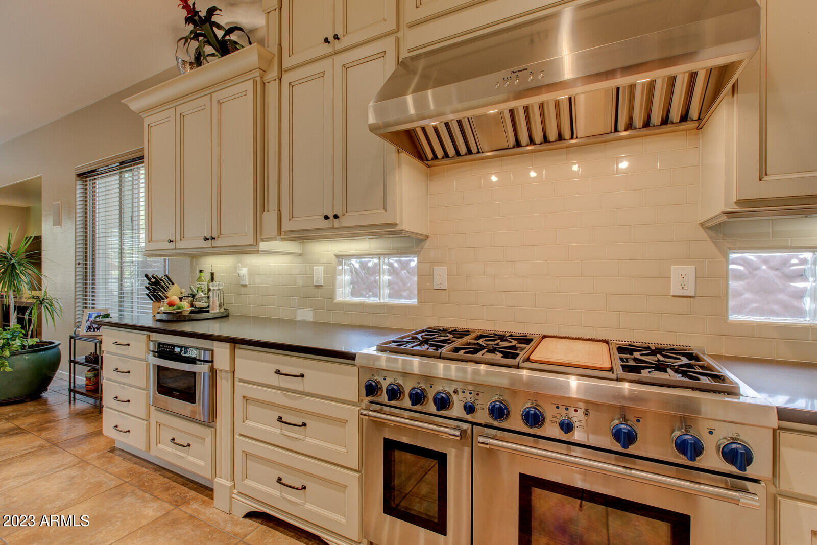 1842 W WEBSTER Court