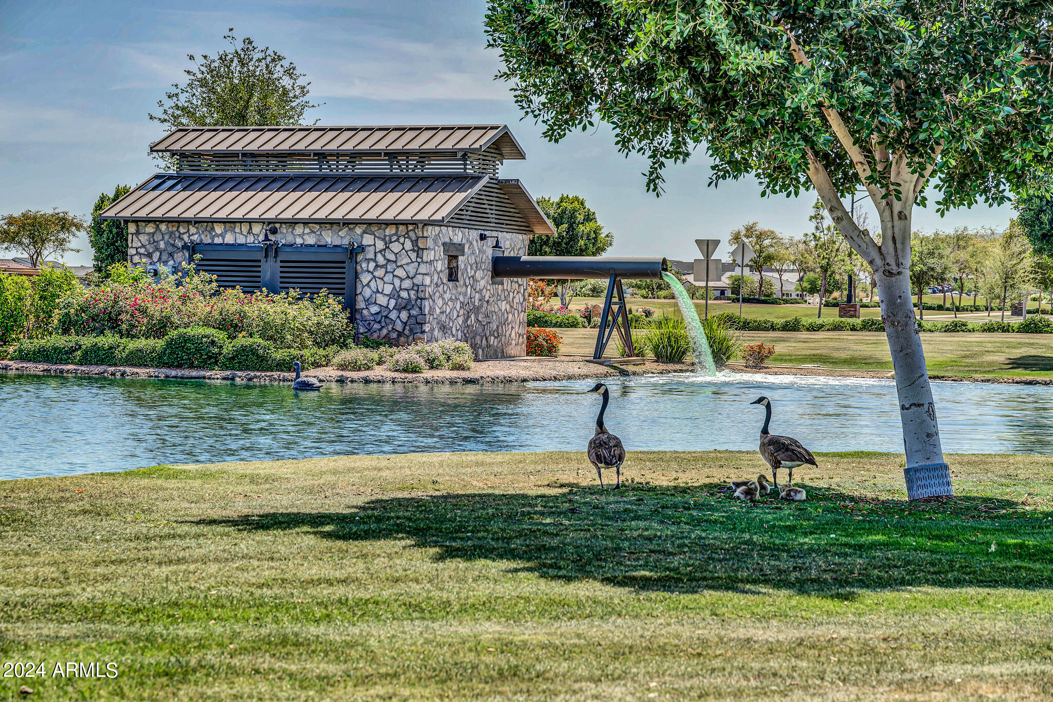 11873 N SAN CLEMENTE Street