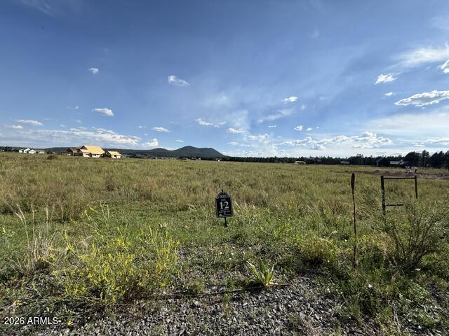 9290 RANCH AT THE PEAKS Way 12