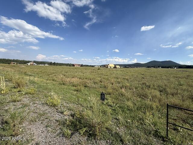 9290 RANCH AT THE PEAKS Way 12