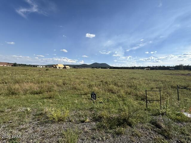 9290 RANCH AT THE PEAKS Way 12
