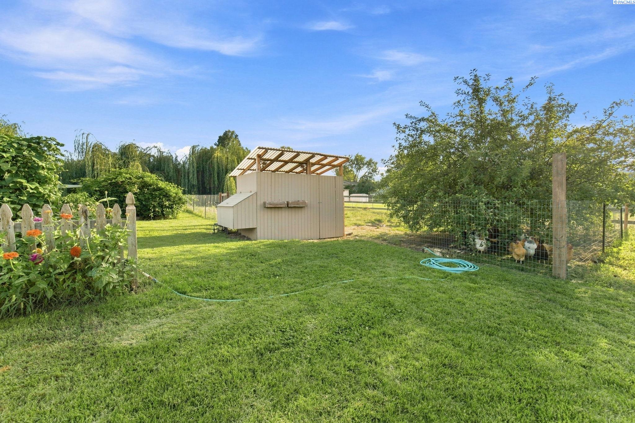 Backyard lawn with a covered chicken coop, fenced chicken run, flower bed, and coiled garden hose.