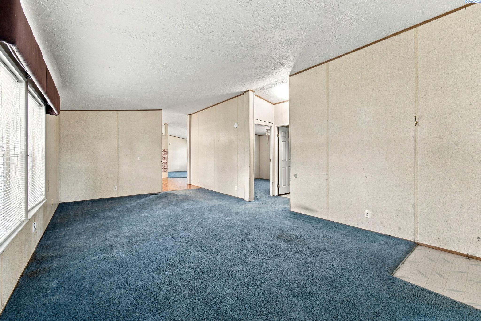 Vacant living room with blue carpet, large windows, and open doorways to adjoining rooms.