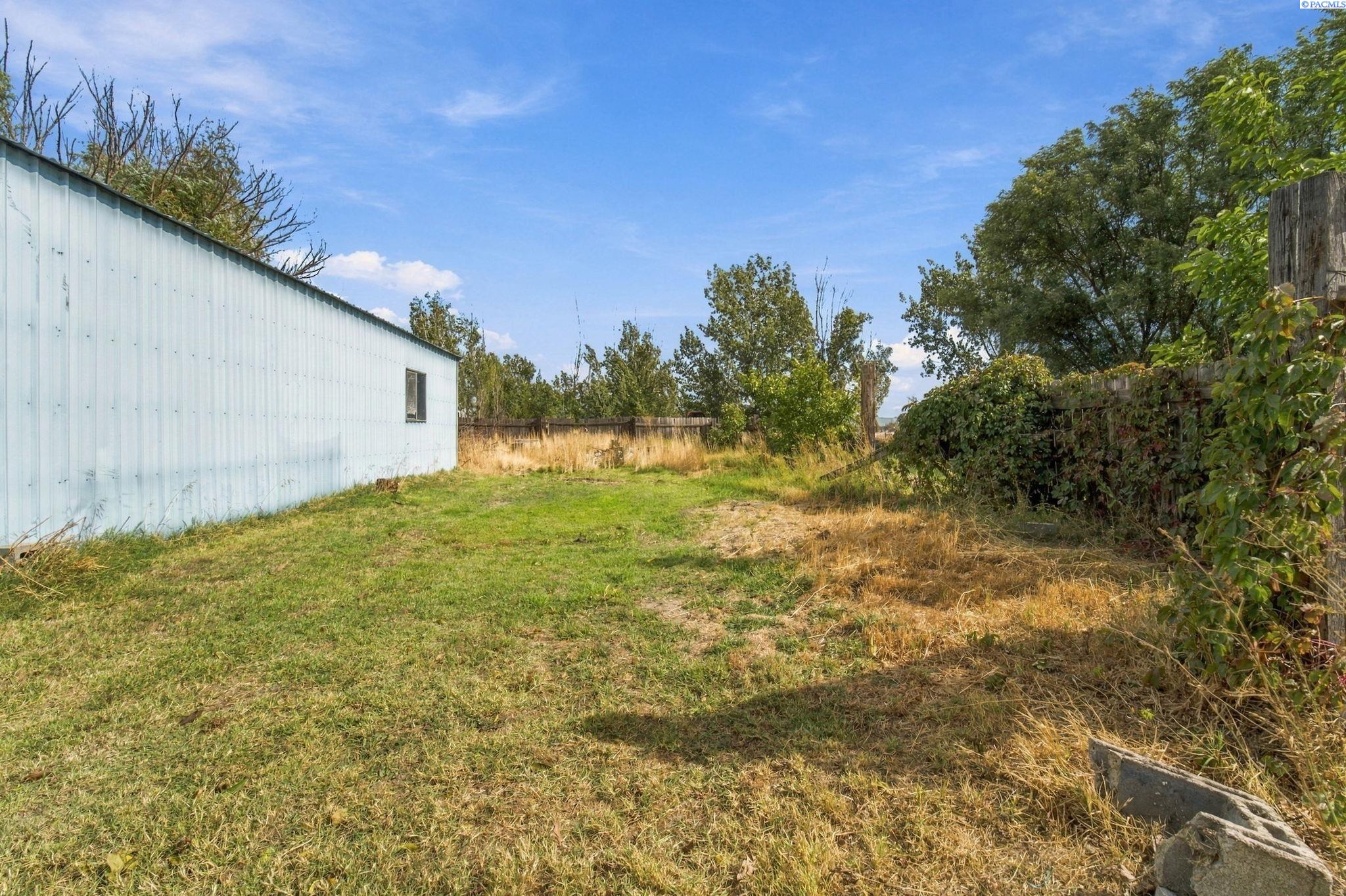 Backyard with a white metal-sided outbuilding, patchy lawn, and vine-covered fence.