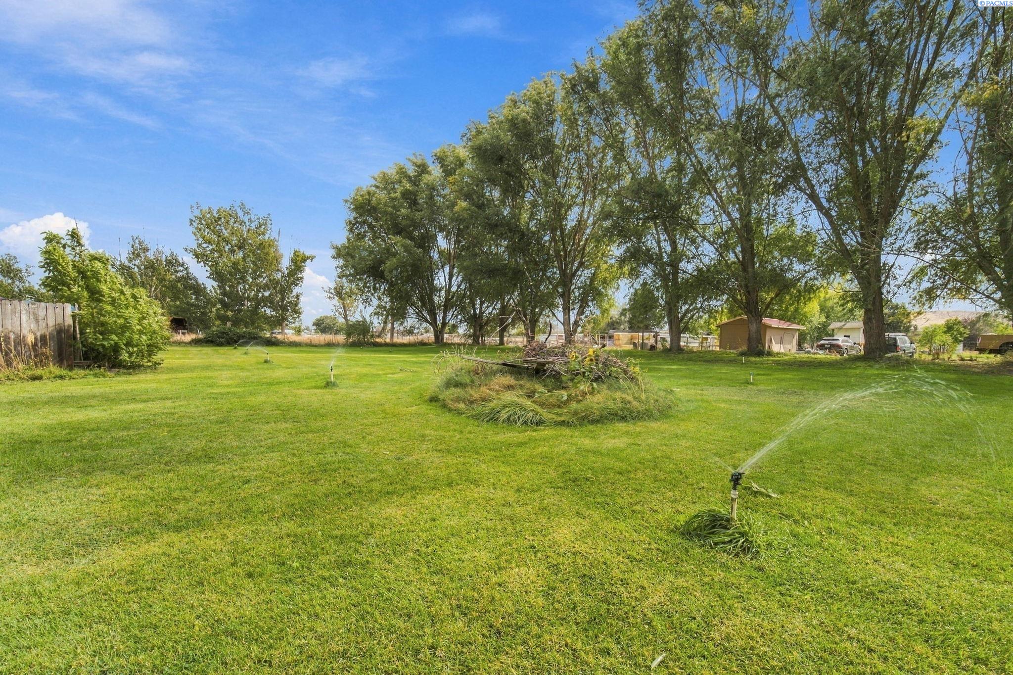 Grassy backyard with mature trees and a sprinkler watering the lawn.