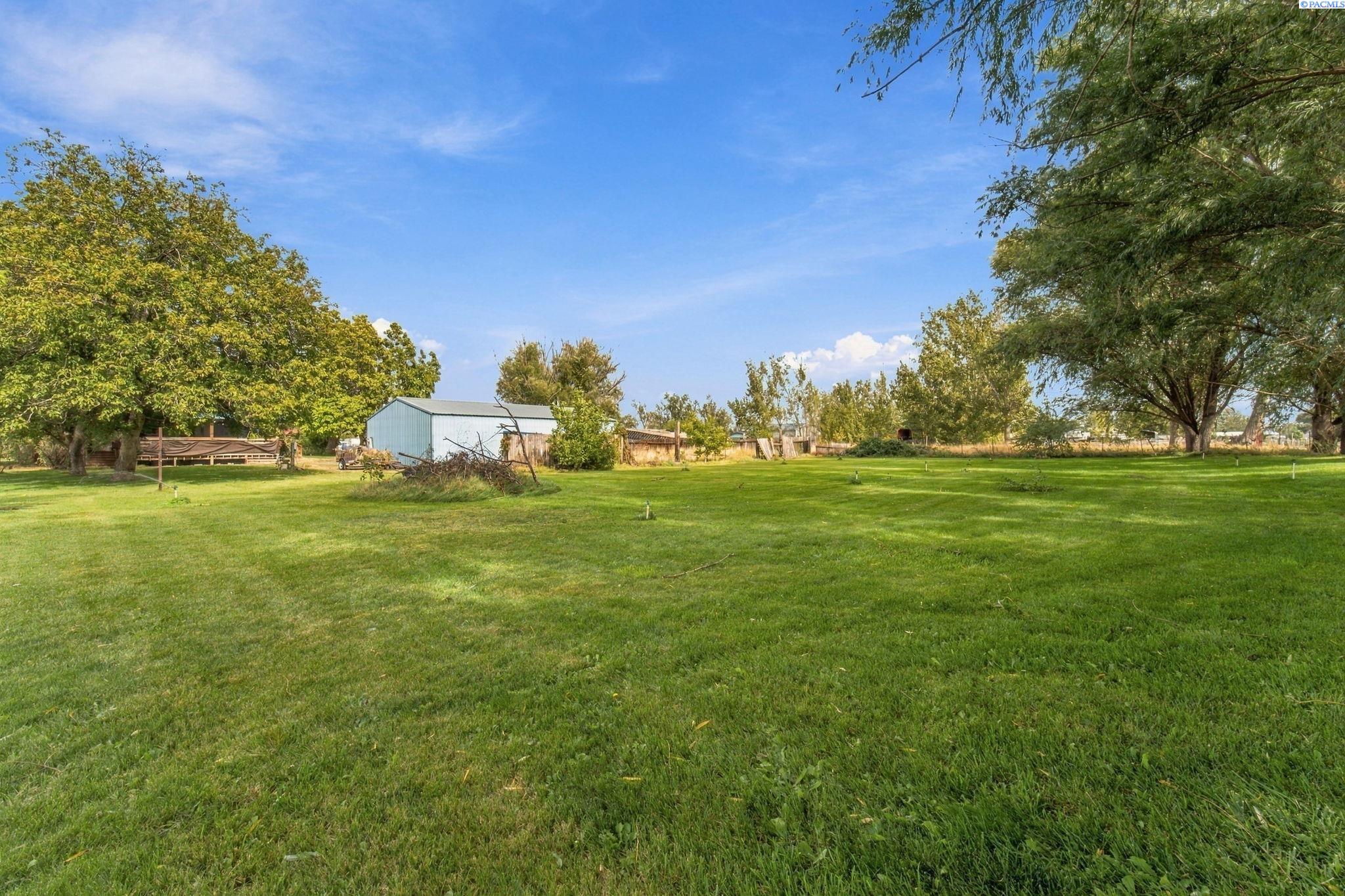 Expansive grassy yard with mature trees, fencing, and a light-blue metal outbuilding.