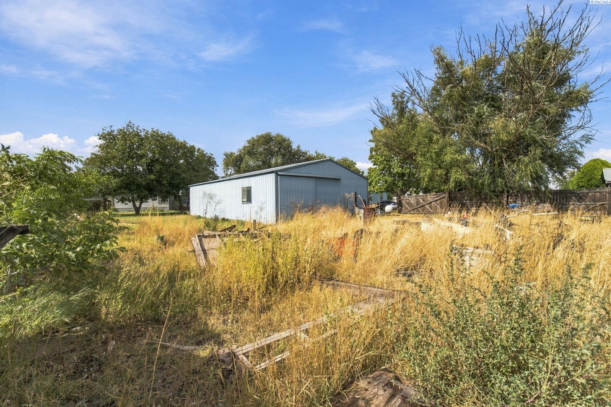 Metal outbuilding behind overgrown grass and raised garden beds.