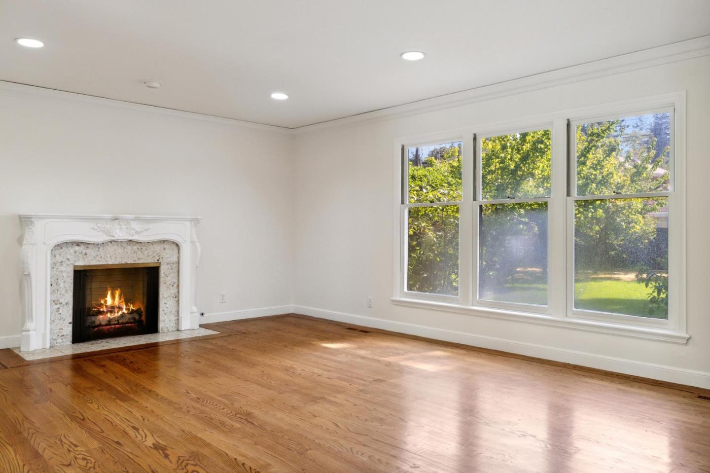 243 Selby LN