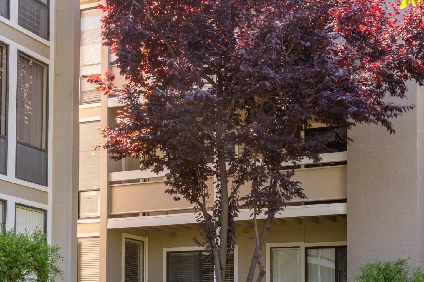 1061 Beach Park BLVD 216