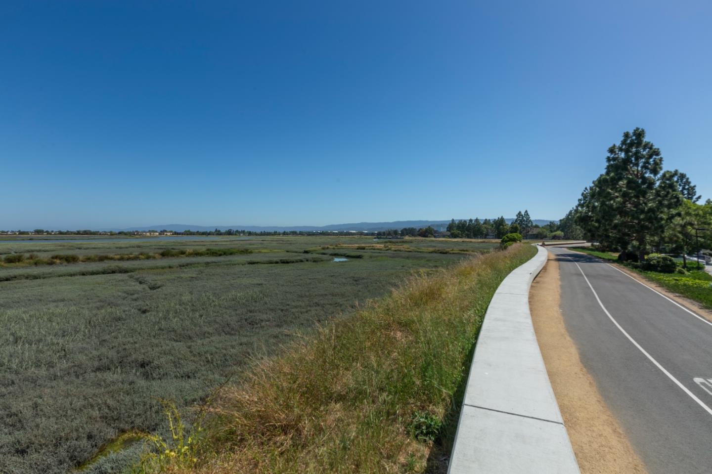 1061 Beach Park BLVD 216