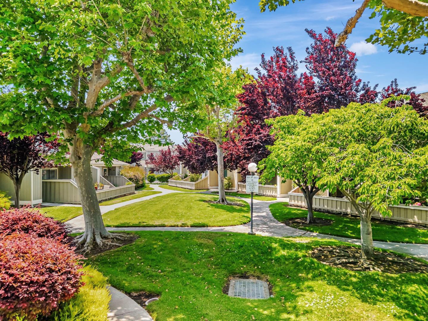 823 Perseus LN