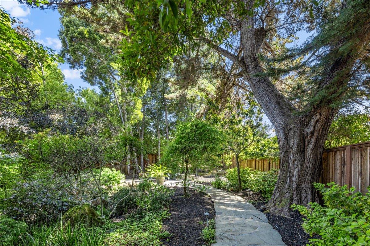 801 Eucalyptus AVE
