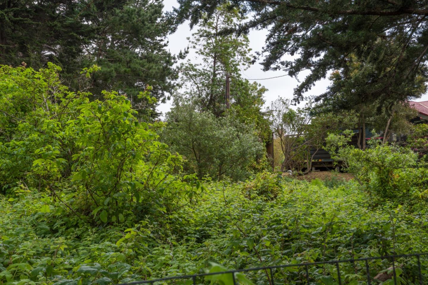 0000 Oak Avenue