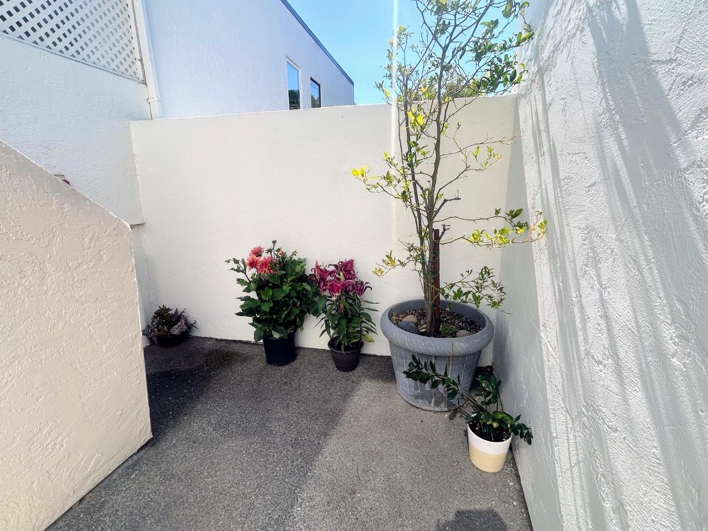 1919 Alameda De Las Pulgas 26