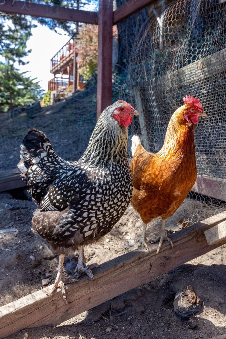 1163 Columbus Street