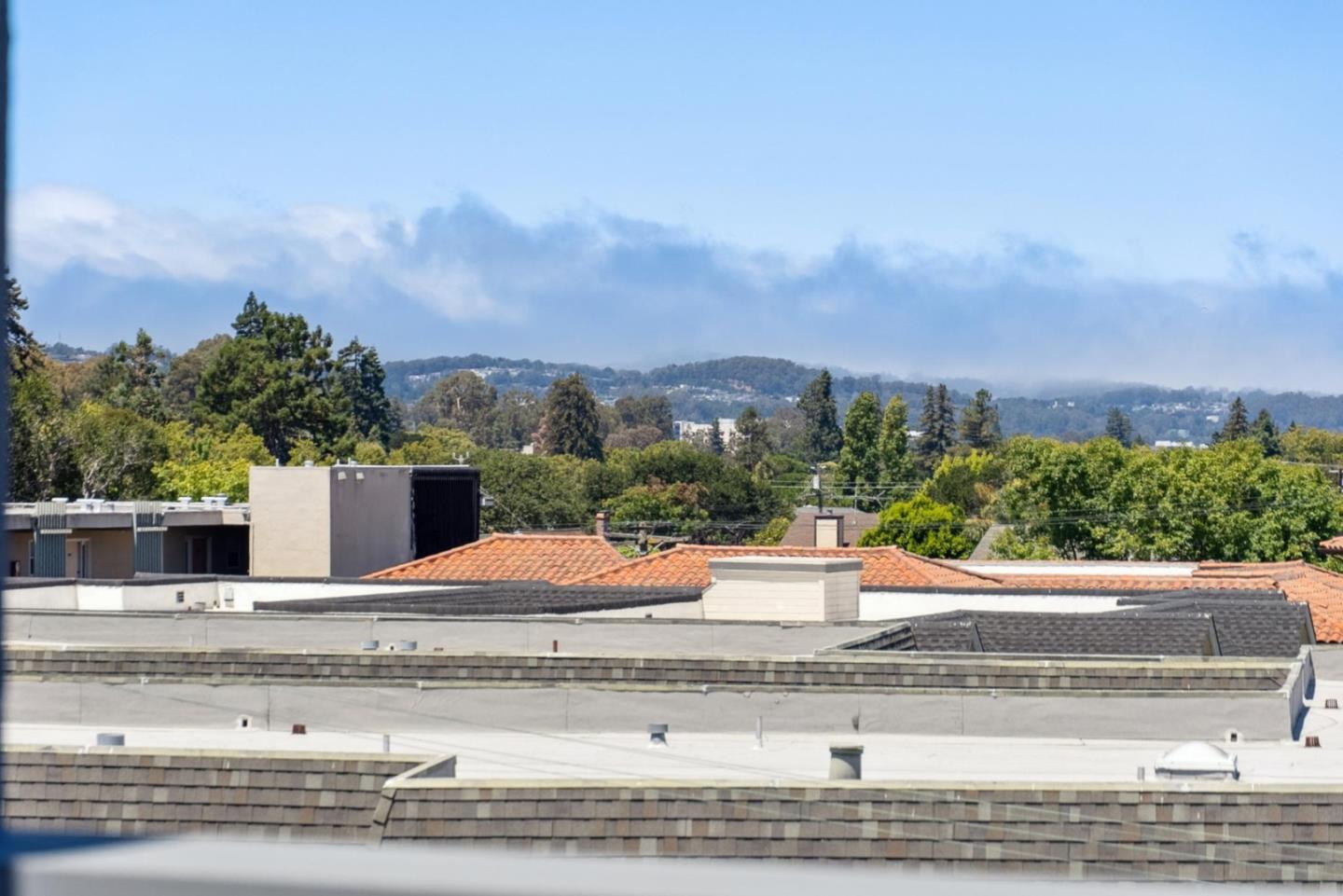 1433 Floribunda Avenue