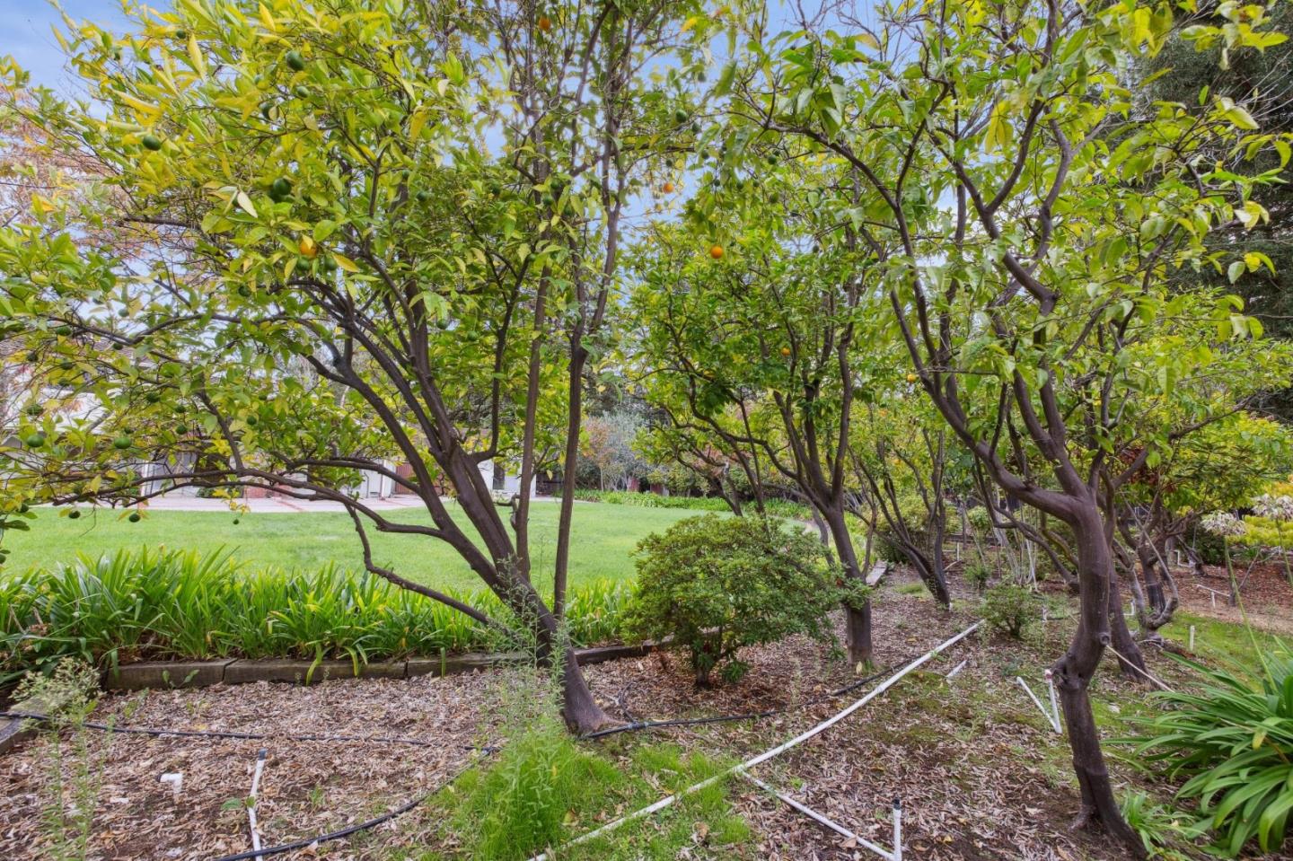 57 Fairview Avenue