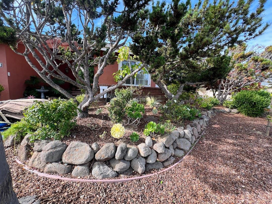 150 Flying Mist Isle