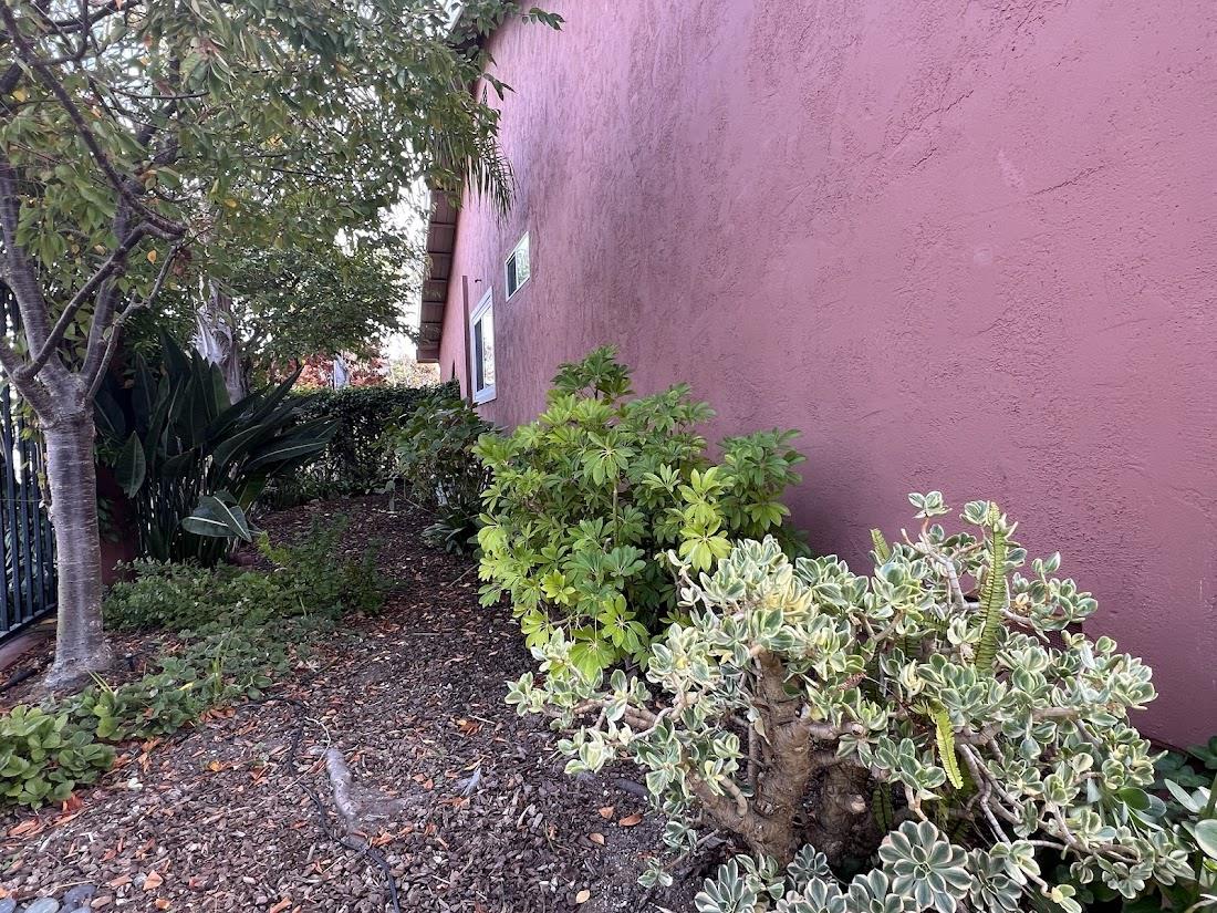 150 Flying Mist Isle