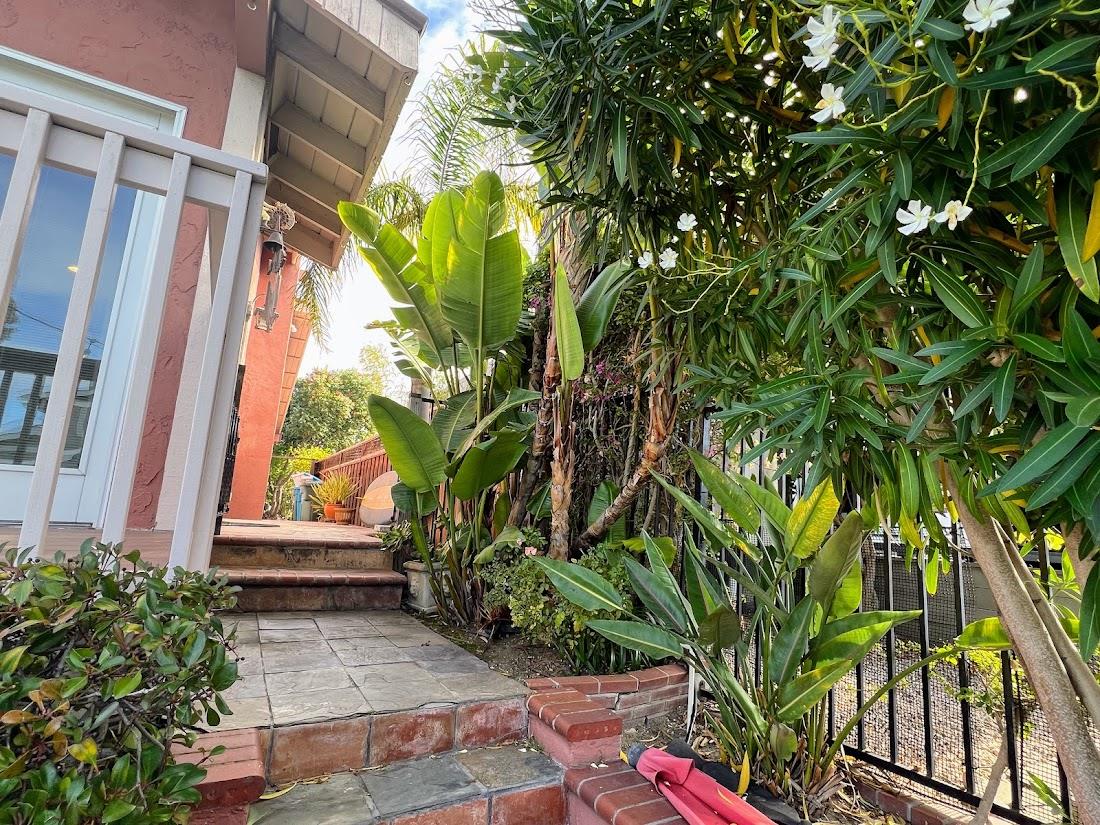 150 Flying Mist Isle