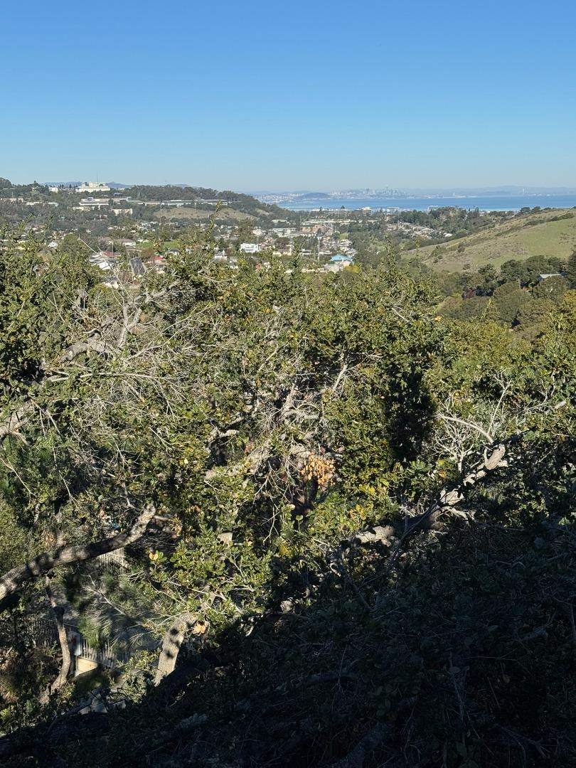 2758 Belmont Canyon Road