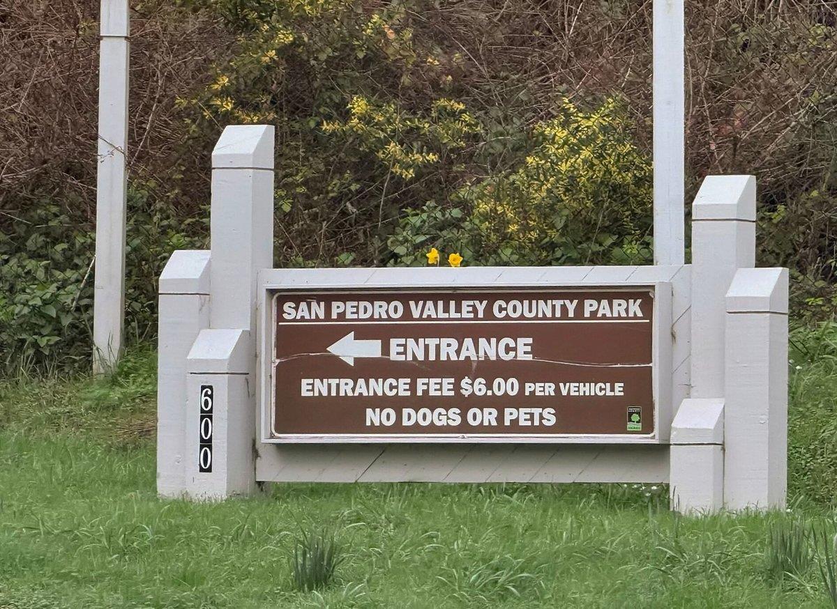 1559 Linda Mar Boulevard