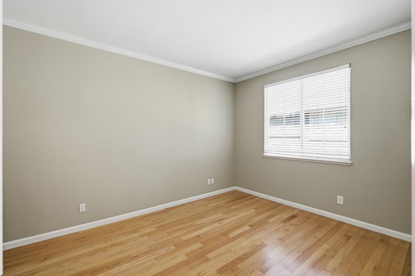 703 Lacewing Lane